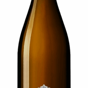 Bourgogne Blanc Domaine Paul & Marie Jacqueson Rully 1er Cru “Grésigny” 2022 75 cl