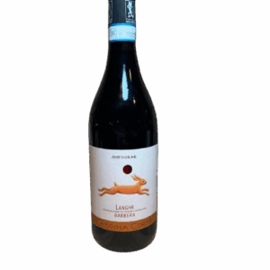 Piemont Cascina Corte Langhe Barbera (Amphore) 2021 75 cl