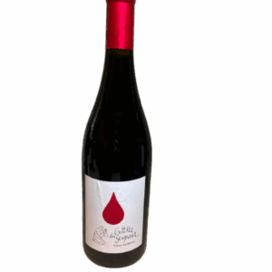 Rhône rouge Domaine Duseigneur Côtes-du-Rhône "La Goutte du Seigneur" 2023 75 cl