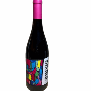 Rhône rouge Domaine Duseigneur Vin nature : "Yamakasi" - sans soufre - Grenache/Cinsault/Syrah 2021 75 cl